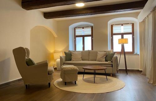 Pirna Apartment | Großzügiges 1 Zimmer-Apartment mit Badewanne