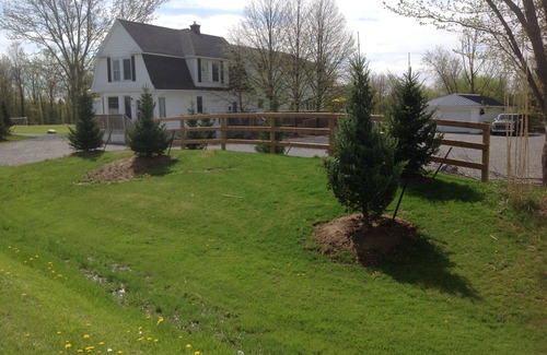Niagara Falls House | Group Accommodations, 10 min to the Falls! All amenities & games in and out!