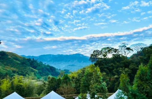 Dahu Other | Grow Tree Glamping