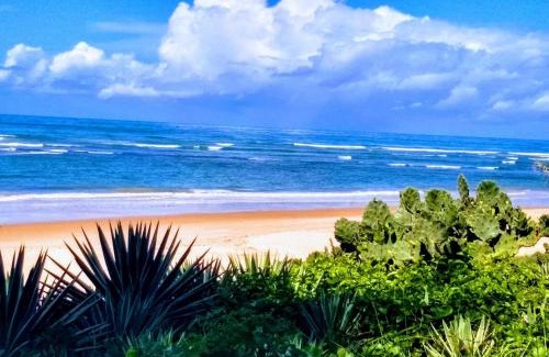 Jenipabu Apartment | Guarajuba - Genipabu Summer House (Flat beira mar)