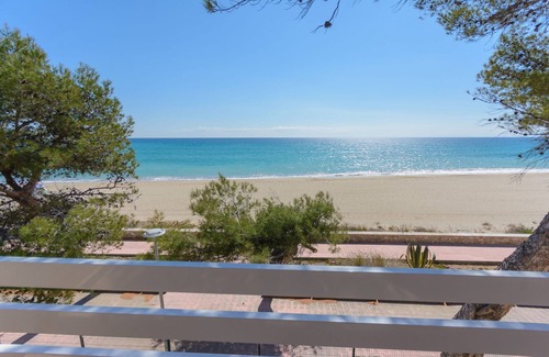 Miami Platja Apartment | Guardamar 2/4 Zeus Apartments Miami 01251