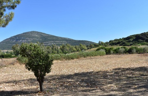 Alghero Apartment | Guardia Grande 26