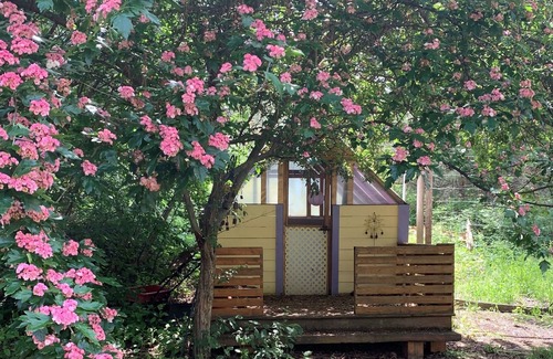 Central Okanagan Cottage | Guest cottage nested in forest- near to golf , zoo, airport.