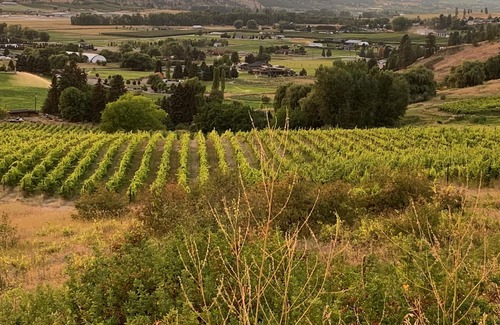 Central Okanagan Cottage | Guest cottage nested in forest- near to golf , zoo, airport.