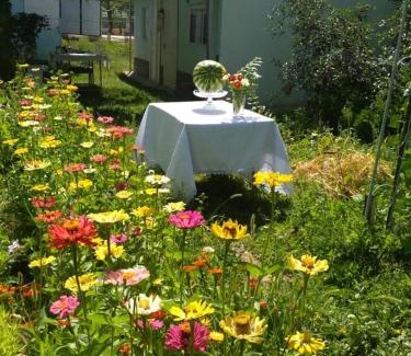 Naryn House | Guest House Asya