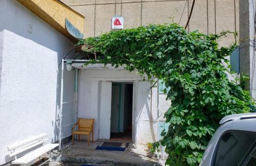 Naryn House | Guest House Asya