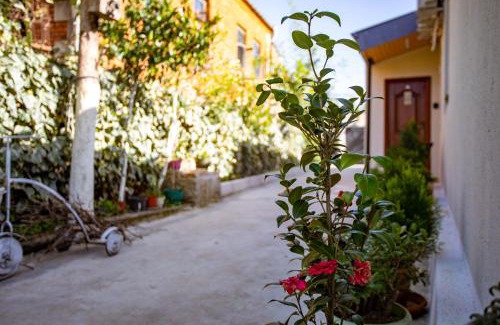 Kutaisi Apartment | Guest House BALU