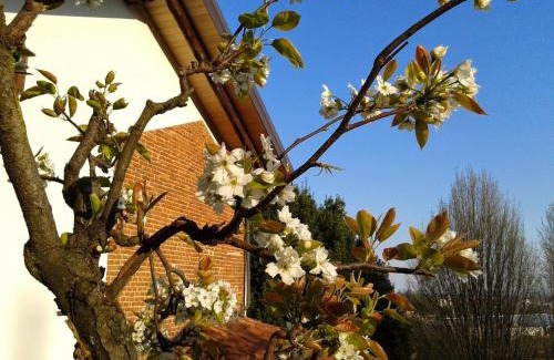 Thes Bed & Breakfast | Guest house Cascina Belsito