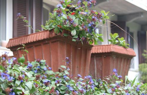 Thes Bed & Breakfast | Guest house Cascina Belsito