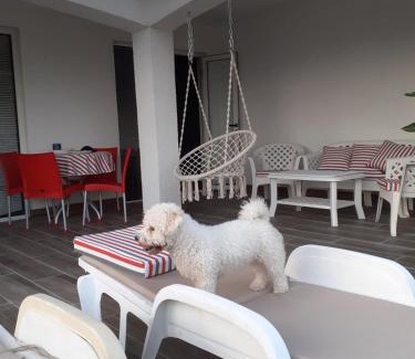 Zelenika House | Guest House Cvoro