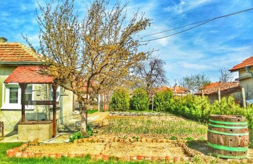 Byala House | Guest House Dimi