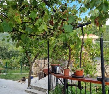 Seoca Apartment | Guest house Duletic