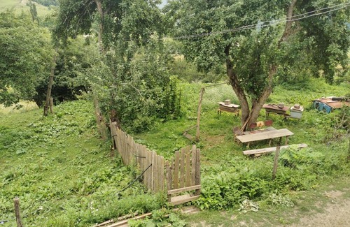 Mestia House | Guest House Eceri