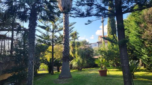 Miglierina House | Guest House Franco