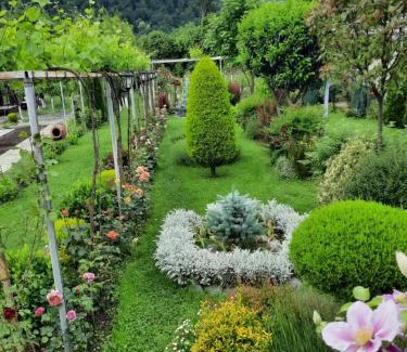 Lagodekhi House | Guest House Gardenia & Wine Cellar