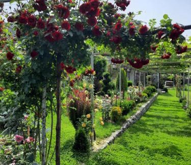 Lagodekhi House | Guest House Gardenia & Wine Cellar