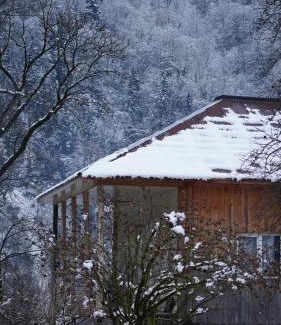 Khaishi House | Guest House in Svaneti - Khaishi