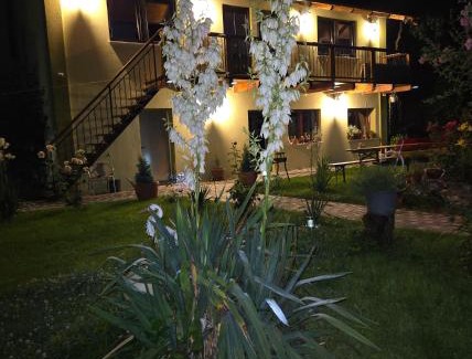 Rasnov House | Guest house Karina