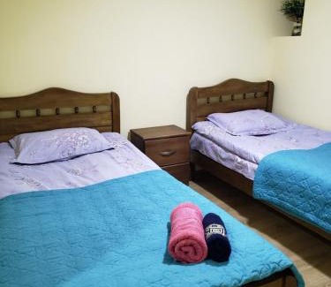 Bagvdanari House | Guest House Nanu