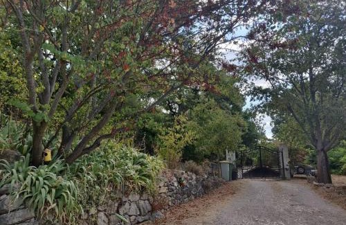 Simiane-Collongue Apartment | Guest house proche Aix en Provence