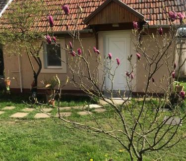 Egerszalok House | Guest House Rózsakert