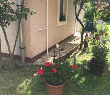 Egerszalok House | Guest House Rózsakert