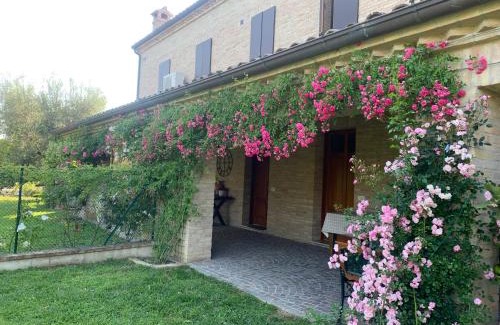 Bellocchi House | Guest House Vagamondo