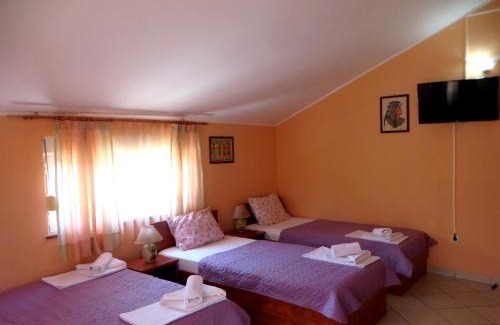 Zelenika House | Guest House Villa Živanović
