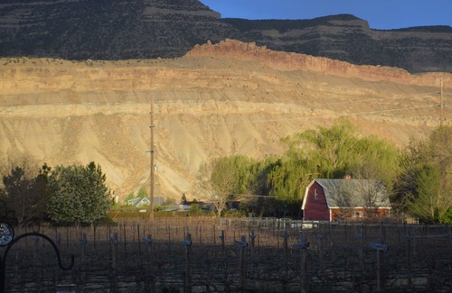 Palisade Bed & Breakfast | Guest suite at Palisade Beach House Vineyard and Bed and Breakfast