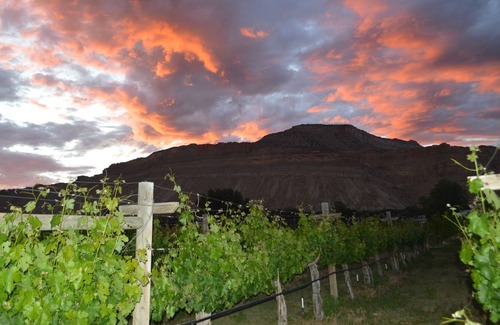 Palisade Bed & Breakfast | Guest suite at Palisade Beach House Vineyard and Bed and Breakfast