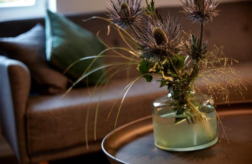 Staufen im Breisgau Apartment | Guesthouse Bärenbad
