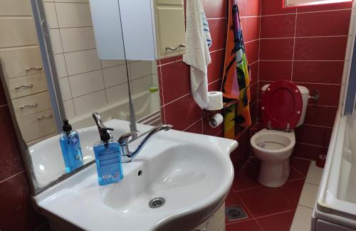Bijeli do House | Guesthouse Djacic