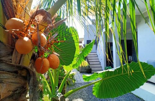 Batuan Bed & Breakfast | Guesthouse Gelombang