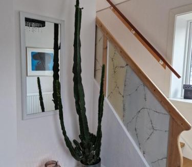 Sorvagur House | Guesthouse Hugo