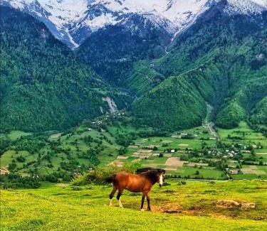 Mestia House | Guesthouse in Lankhvri