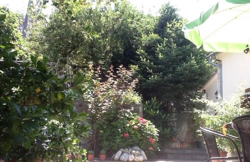 Tsagarada House | Guesthouse Kleopatra's