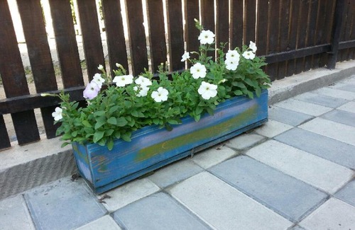 Bagvdanari House | Guesthouse Mestia 32