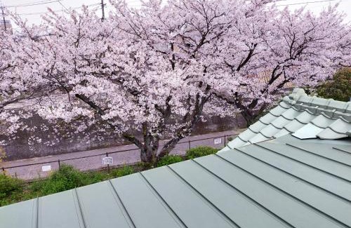 Beppu House | Guesthouse Sakichi