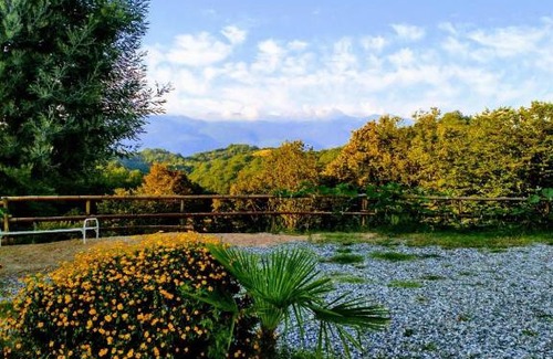 Abkhazia House | Guesthouse u Andreya i Anny