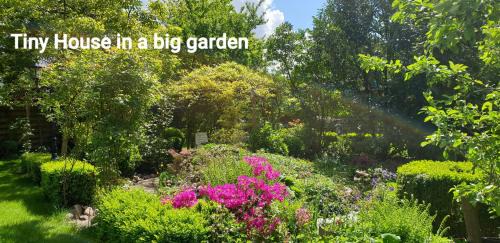 Zuidlaren House | GUESTHOUSE vakantiehuis in een mooie tuin in het centrum van Zuidlaren!