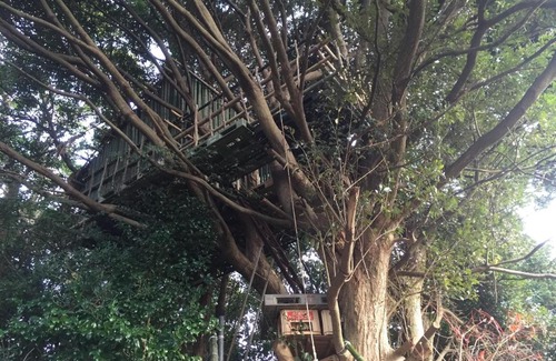 Iki House | Guesthouse Wasabi