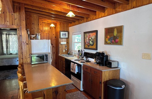 Guntersville House | Guntersville Waterfront Cabin - Panoramic View - Large Dock