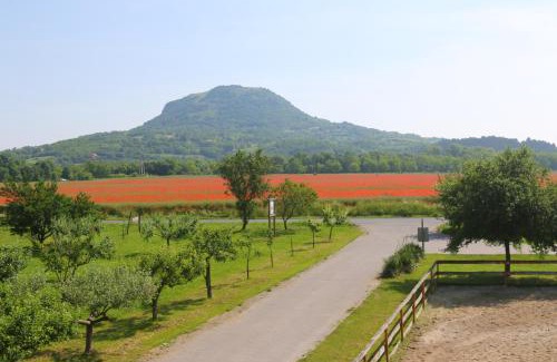 Gyulakeszi Bed & Breakfast | Gyulavezér Lovasbirodalma
