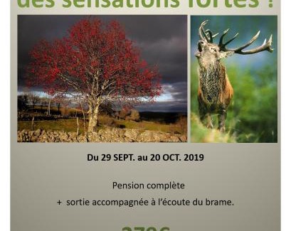 Nasbinals Hotel | Hôtel La Randonnée