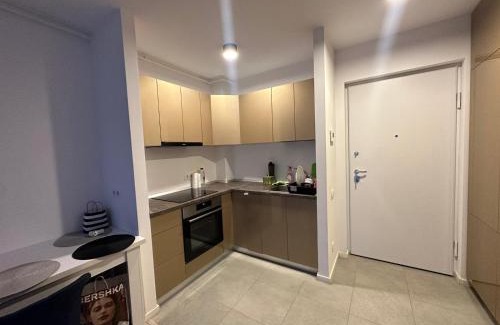 Pipera Apartment | H pipera lake