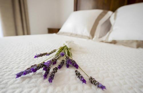 Sant Marcal Bed & Breakfast | Habitacion Camagroc
