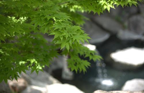 Oze Nationak Park Hotel | Hacho no Yu