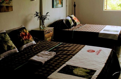 Chinchina Hotel | Hacienda Cafetera La Gaviota