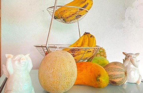 Guaduas Bed & Breakfast | Hacienda La Pola