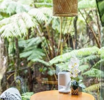 Volcano Cabin | Hale Kumu La'au- A'a